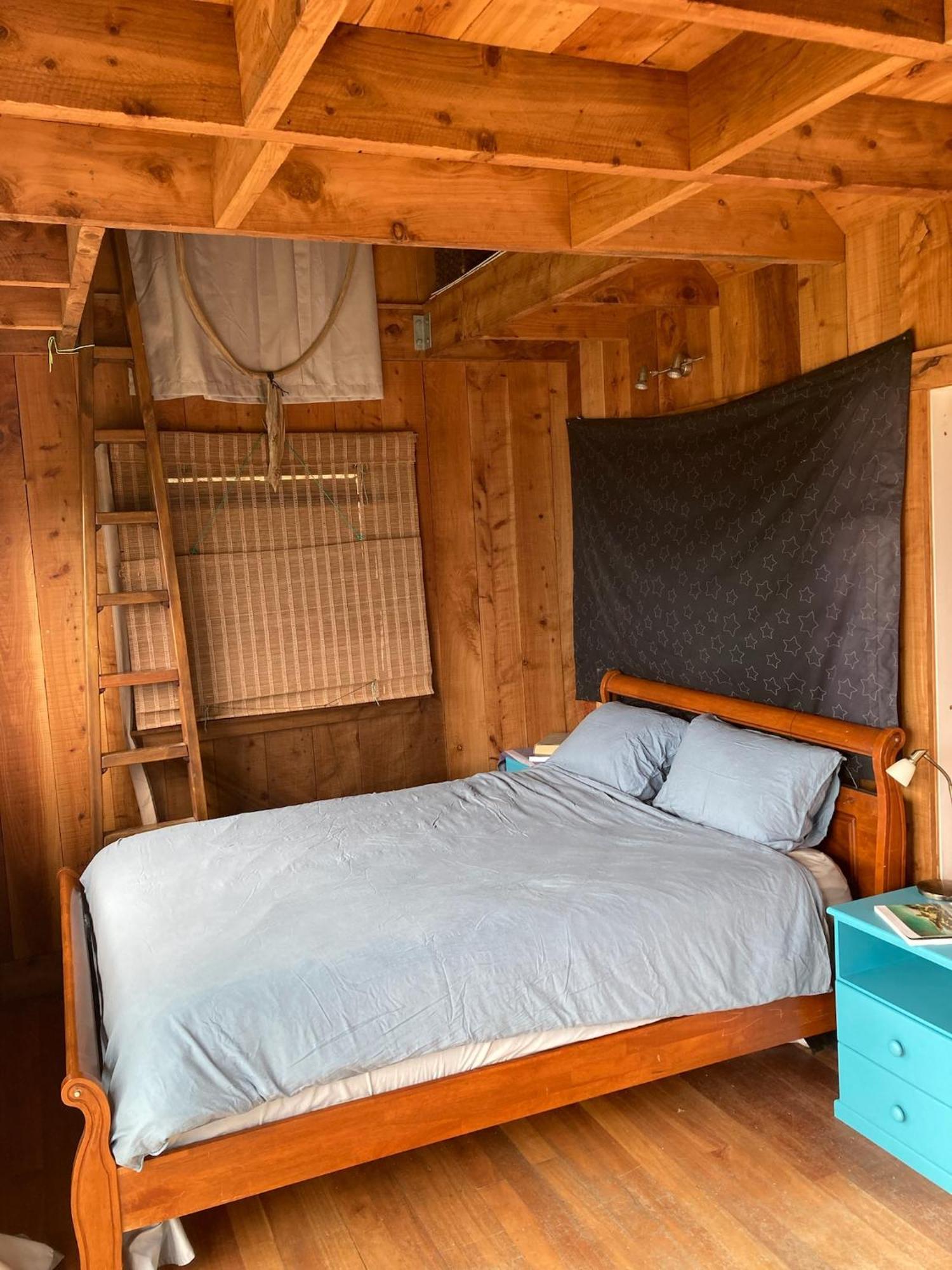 Kereru Cabin - Spectacular Seaviews, Rustic, Glamping Eco Adventure Palm Beach Екстериор снимка